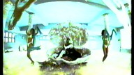 01 VHS HipHop 1998. 05. 11-22 (Atomic,VIVA)