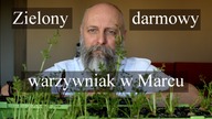 Domowy ogródek warzywny z odpadów w Marcu