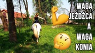 Waga jeźdzca a waga konia