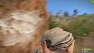 RUST