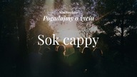 Słuchowisko. Pogadajmy o życiu - #89 Sok Cappy