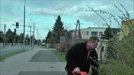 Nożyce HTM520  www pilarz org