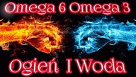 1006. Omega 3 Omega 6 Woda I Ogień Konwersja Przyswajanie