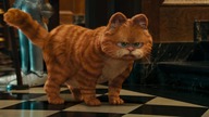 Garfield 2 / Garfield- A Tail of Two Kitties [2006] [PL. Dub]