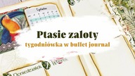 Papiery, naklejki i ptasiory | Drugi tydzień czerwca w bullet journal | Weekly plan with me