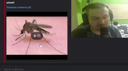 Dawid Jasper | PIOSENKA O KOMARZE RYSZARDZIE