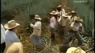 090- Miłość jak tequila