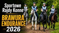 120 km konno przez Bory Dolnośląskie.  Tak wygląda Brawura Endurance 2026