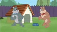 Cartoonito - Rozpoczęcie i zakończenie (nieoczekiwanej?) przerwy konserwacyjnej (24. 03. 2024)
