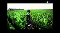 D. Viva VID-1717597937198 (2)
