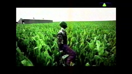 D. Viva VID-1717597937198 (2)