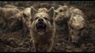 Takim jego ród Słowa; Kiedy cię złaje niecny gbur, Nie trzeba, byś się gniewał; Pies szczeka, takim 