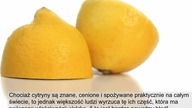 Absolutnie nie wyrzucaj skórki z cytryny!  Świetnie działa na ból stawów