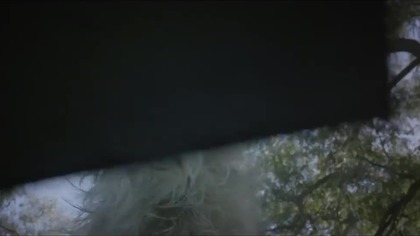 Strzelający pies, trailer nowego hitu prosto z Hollywood?