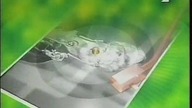 TVP2 - Dozwolone od lat 40 (24. 07. 2001)