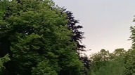 Pozdrowienia z Deszczowej Warszawy! Cisza przed burzą? Park, deszcz, wiatr, piękna przyroda!