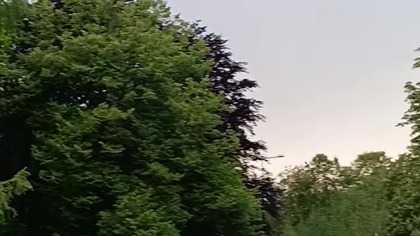 Pozdrowienia z Deszczowej Warszawy! Cisza przed burzą? Park, deszcz, wiatr, piękna przyroda!