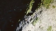 Megality w Borkowie! Dolmen sprzed 5000 lat! Stanowisko archeologiczne kultury Pucharów Lejkowych!