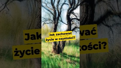Jak zachować życie w czystości? ##Biblia #młodzi #czystość