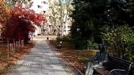 Warszawa! Jesień na Starym Mieście! Spacer po Nowym Świecie i pogadanka Q&A! Dyskusje! Sarmata!