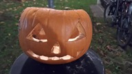 Halloween pumpkin Theatrum Illuminatum