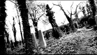 The million ways to die and never after false bitch cry bye