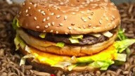 BigMac vs Mealworms #mealworms #maggots #mcdonalds #burger