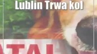 Lublin: Trwa kolejna edycja akcji Sprzątaj po swoim psie