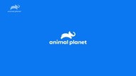 Animal Planet - Początek awarii (27. 02. 2026, po 12:00)