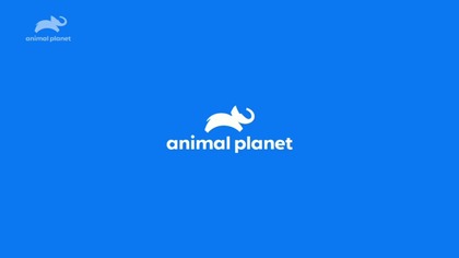 Animal Planet - Początek awarii (27. 02. 2026, po 12:00)