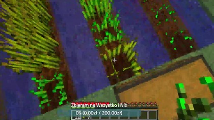 [Minecraft]] Pszedłurzenie Live ON [NA ŻYWO]