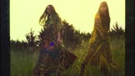 First Aid Kit - Wolf