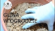 Co zrobić z gliną w ogrodzie? Ziemia gliniasta, glina w ogrodzie.
