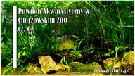 Pawilon akwarystyczny w Chorzowskim ZOO cz. 6.