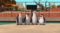 Pingwiny z Madagaskaru - SE02E64 Bezsenny Ninja - Wróg U Bram