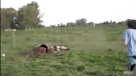 Quad i mały fail