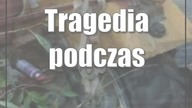 Tragedia podczas rozładunku drewna
