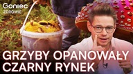 UKRYTA PLAGA.  LUDZIE RYZYKUJĄ ŻYCIEM DLA TYCH GRZYBÓW