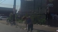 '' PRAWDZIWE ZOMBIE '' JUŻ W POLSCE ?