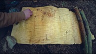 Jak zrobić pudełko z kory - bushcraftowe techniki