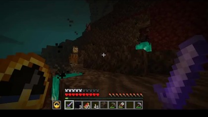 Well, at least I found my wolves #minecraft #gaming #game #Nether #Short #Shorts #Llama #OK