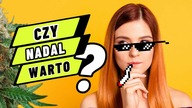 CZY WARTO (jeszcze) WCHODZIĆ W BRANŻĘ KONOPNĄ? | Maciej Kowalski