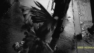 Michael Jackson- Stranger In Moscow (HD 1080P Original Music Video)