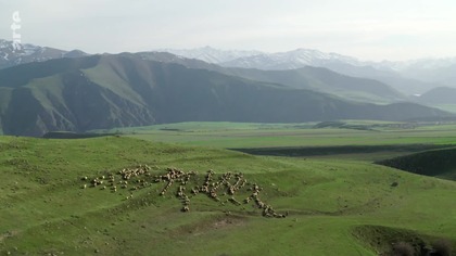 Armenia, krew gór