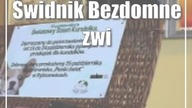 Świdnik: Bezdomne zwierzaki czekają na naszą pomoc