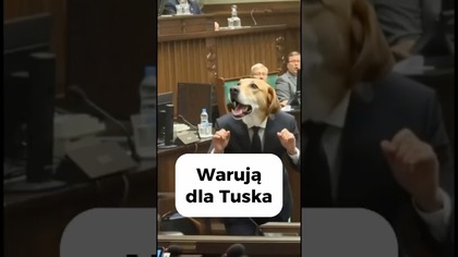A kysz, waruj!  Donald Tusk upokarza swojego posła na sali obrad.