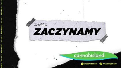 CZY MEDYCZNA MARIHUANA ZNIKNIE Z POLSKICH APTEK? #W^^dWeek 72