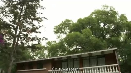 El vuelo de la Victoria 045 NAPISY PL