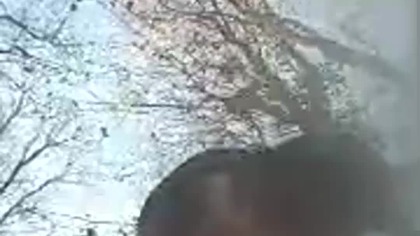 Zimowy Pies Rubik, albo szukamy śladów zimy w Koszalińskim Lesie! Falun - skoki narciarskie! Q&A!