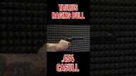 TAURUS RAGING BULL . 454 CASULL #shorts